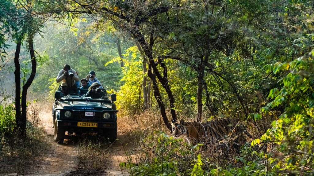 Top 10 Must-Visit Places in Rajasthan