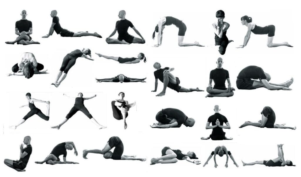 Types of Yoga: Yin Yoga