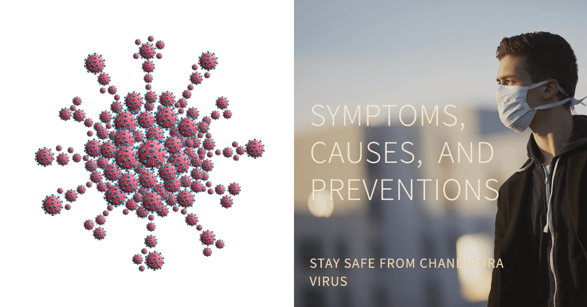 Chandipura Virus Outbreak in Gujarat: Symptoms, Causes and Prevention Chandipura Virus Outbreak in Gujarat: Symptoms, Causes and Prevention