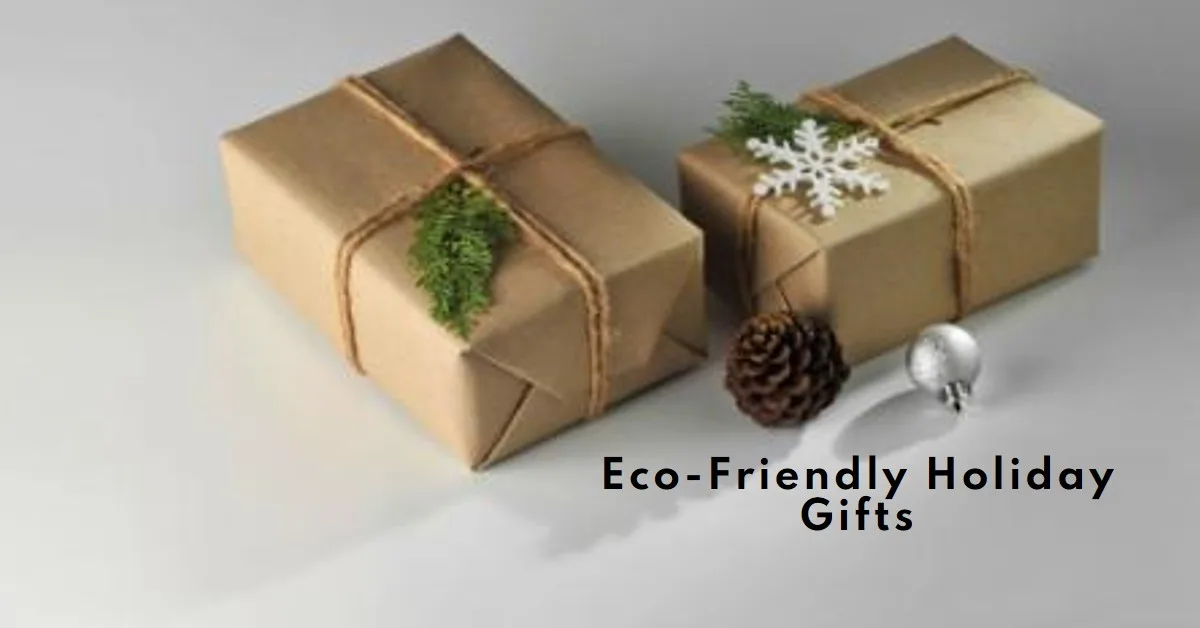 Eco-Friendly Gift Ideas for the Holiday Season: Sustainable and Thoughtful Choices Eco-Friendly Gift Ideas for the Holiday Season: Sustainable and Thoughtful Choices