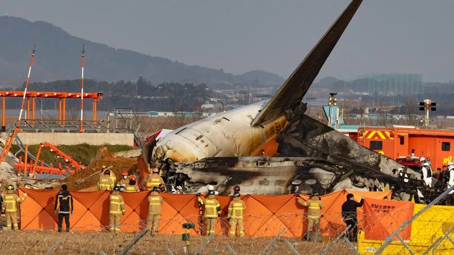 Aviation expert casts doubt on bird strike theory in deadly South Korean plane crash: ‘Doesn’t make sense’