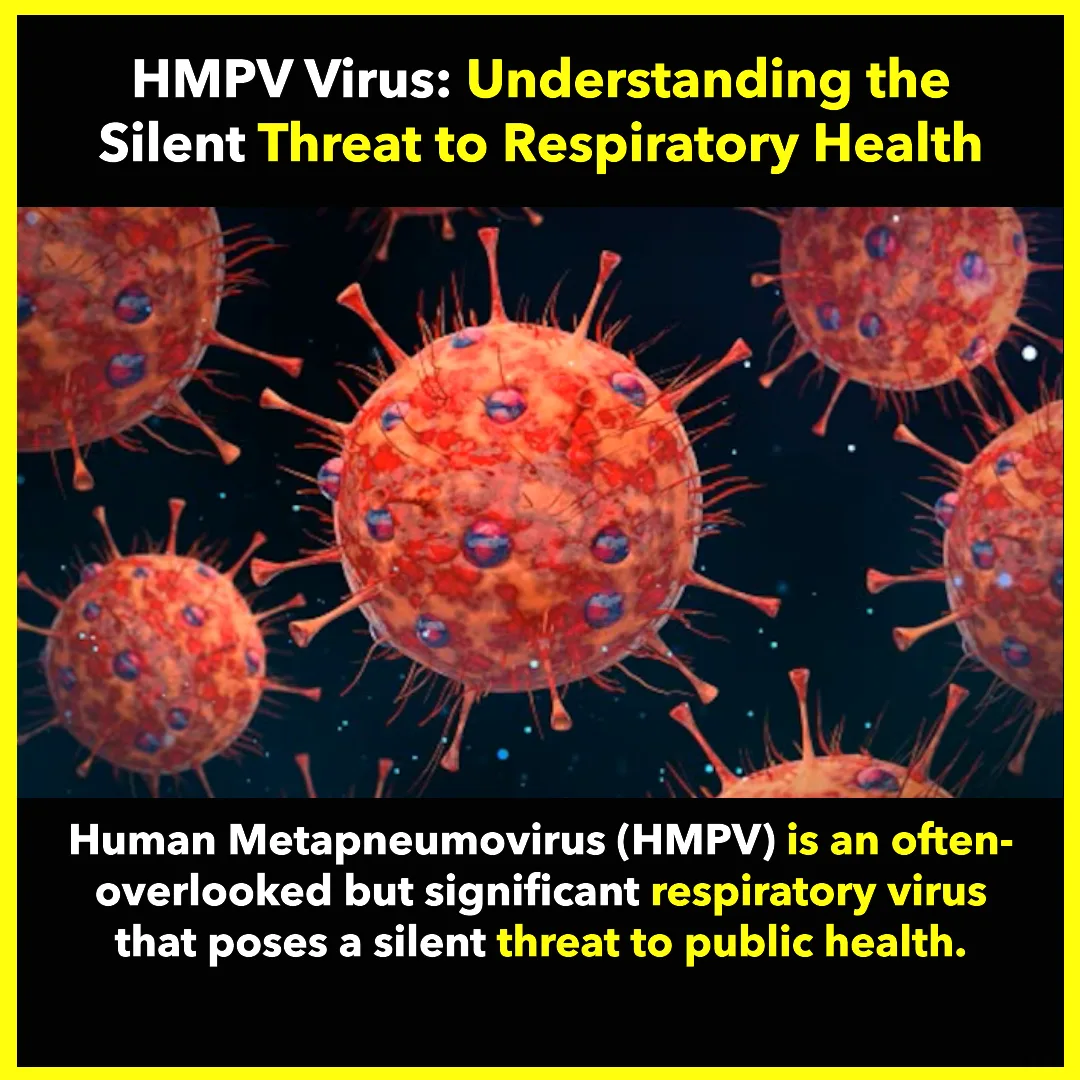HMPV Virus: Understanding the Silent Threat to Respiratory Health HMPV Virus: Understanding the Silent Threat to Respiratory Health