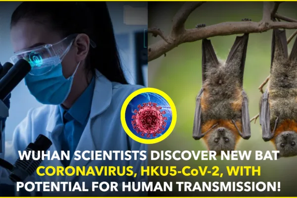 Wuhan Scientists Discover New Bat Coronavirus, HKU5-CoV-2, With Potential for Human Transmission Wuhan Scientists Discover New Bat Coronavirus, HKU5-CoV-2, With Potential for Human Transmission
