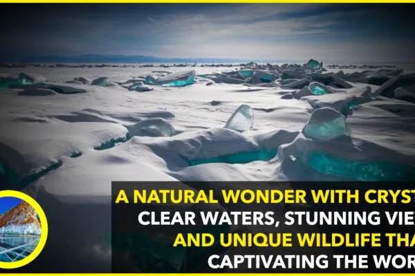 Discover Russia’s Clearest Lake: A Natural Wonder with Crystal-Clear Waters Discover Russia’s Clearest Lake: A Natural Wonder with Crystal-Clear Waters