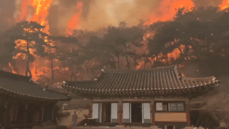 South Korea Wildfires: Death Toll Rises to 18 as Fires Devastate Homes and Heritage