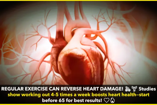 Regular Exercise Can Reverse Heart Damage from Sedentary Lifestyle and Aging, Study Finds Regular Exercise Can Reverse Heart Damage from Sedentary Lifestyle and Aging, Study Finds