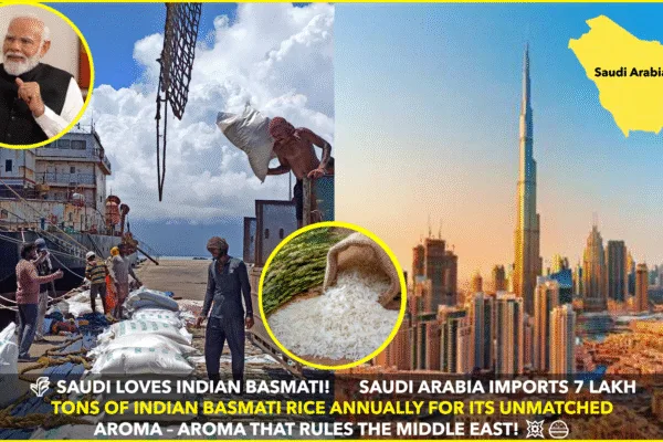 Saudi Arabia Emerges as Top Importer of Indian Basmati Rice, Valued for Its Unmatched Aroma Saudi Arabia Emerges as Top Importer of Indian Basmati Rice, Valued for Its Unmatched Aroma
