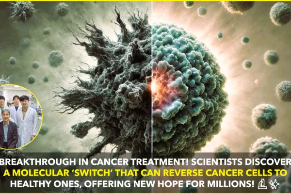 South Korean Scientists Discover Molecular ‘Switch’ to Reverse Cancer Cells to Healthy State South Korean Scientists Discover Molecular 'Switch' to Reverse Cancer Cells to Healthy State