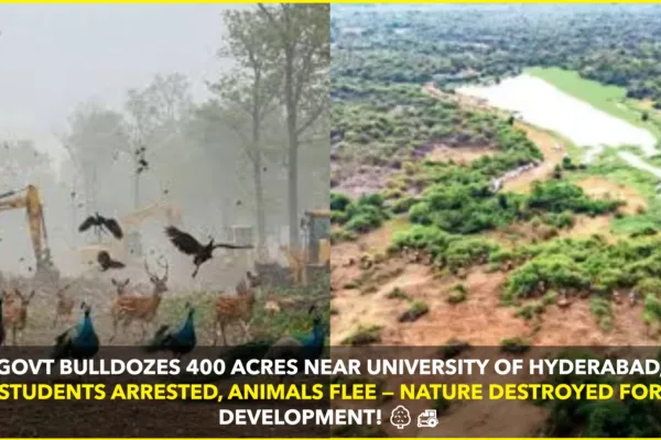 Hyderabad Land Row: Protests Erupt as Government Clears 400 Acres of Forest Near University of Hyderabad Hyderabad Land Row: Protests Erupt as Government Clears 400 Acres of Forest Near University of Hyderabad