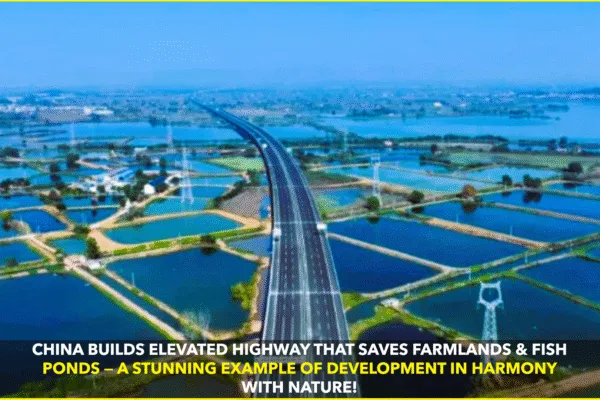 China’s Elevated Highway Protects Farms and Fish Ponds China’s Elevated Highway Protects Farms and Fish Ponds