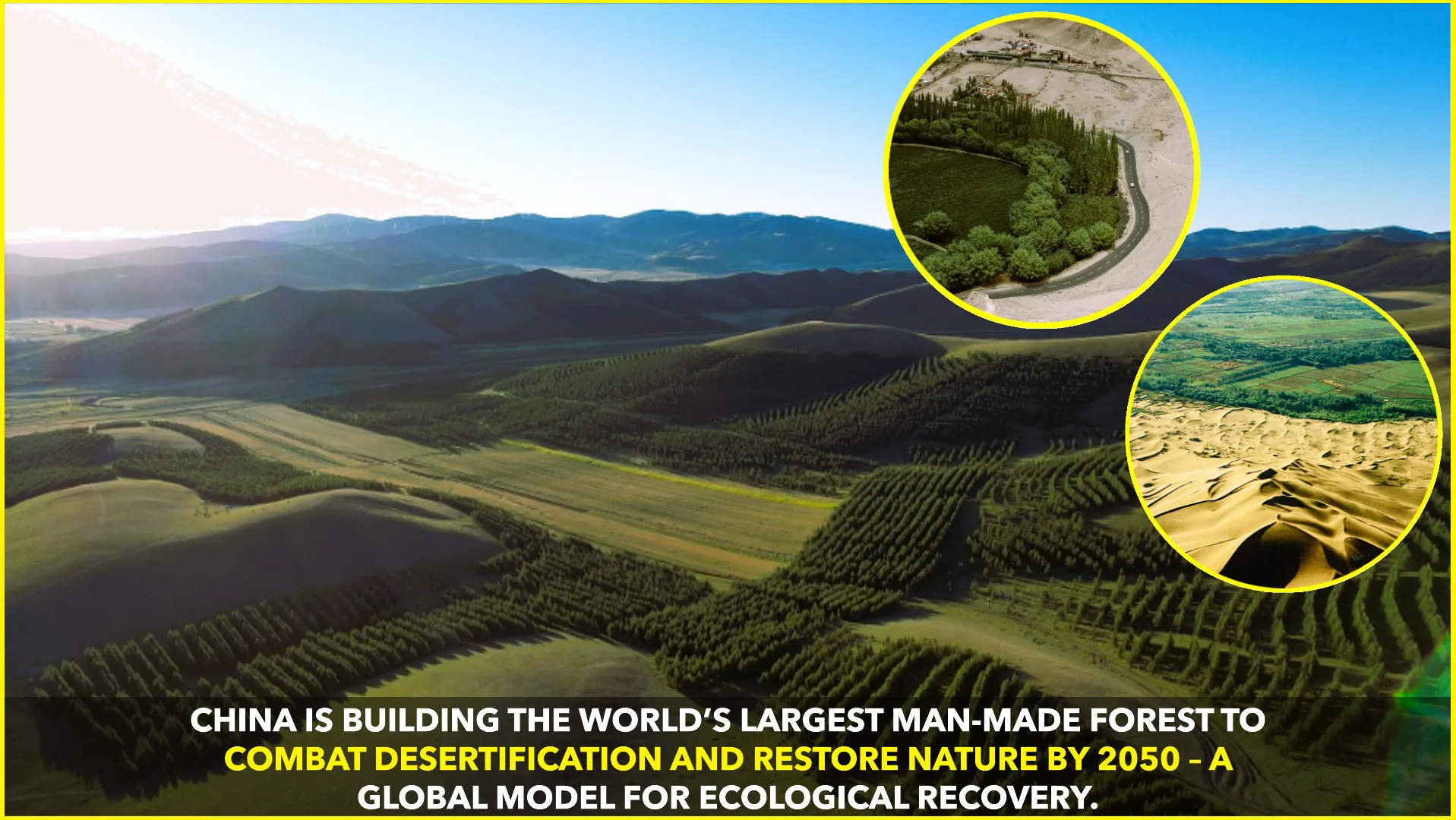 China's Great Green Wall: A Monumental Effort Against Desertification