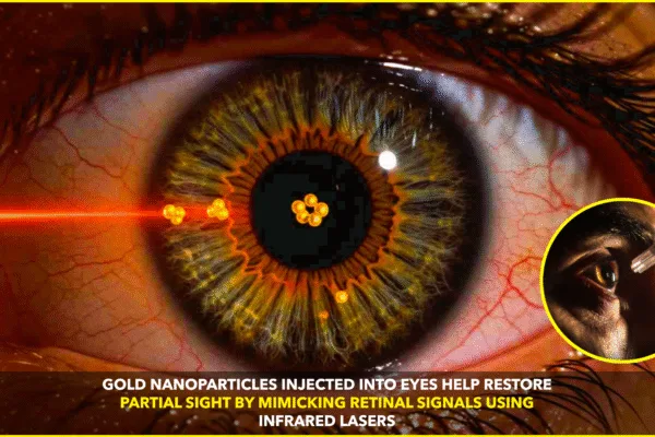 Breakthrough in Vision Restoration: Gold Nanoparticles Show Promise in Reversing Retinal Damage Breakthrough in Vision Restoration: Gold Nanoparticles Show Promise in Reversing Retinal Damage