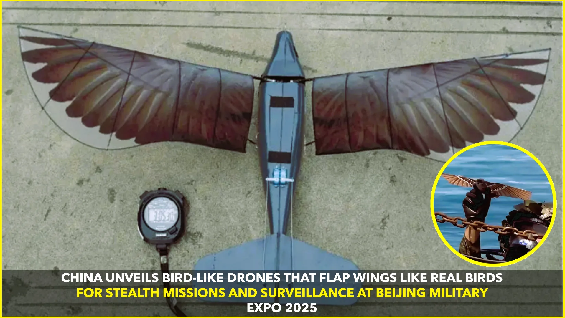 China Unveils Bird-Like Drones for Stealth Missions