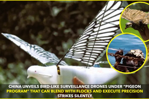 China’s Bird-Mimicking Drones: A New Era in Covert Surveillance and Precision Strikes China’s Bird-Mimicking Drones: A New Era in Covert Surveillance and Precision Strikes