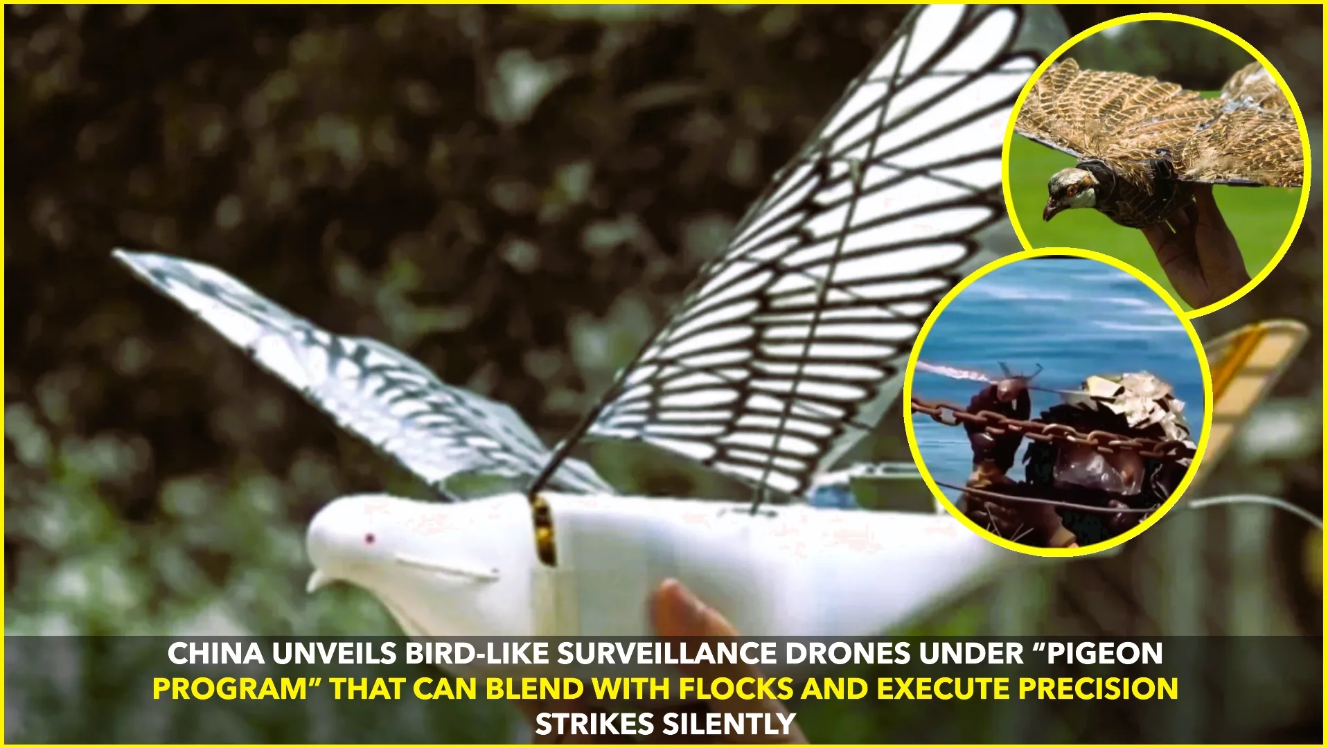 China’s Bird-Mimicking Drones: A New Era in Covert Surveillance and Precision Strikes