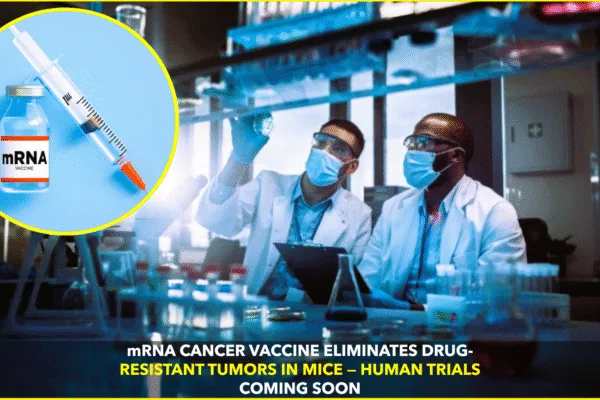 Experimental mRNA Vaccine Shows Breakthrough in Fighting Cancer Experimental mRNA Vaccine Shows Breakthrough in Fighting Cancer