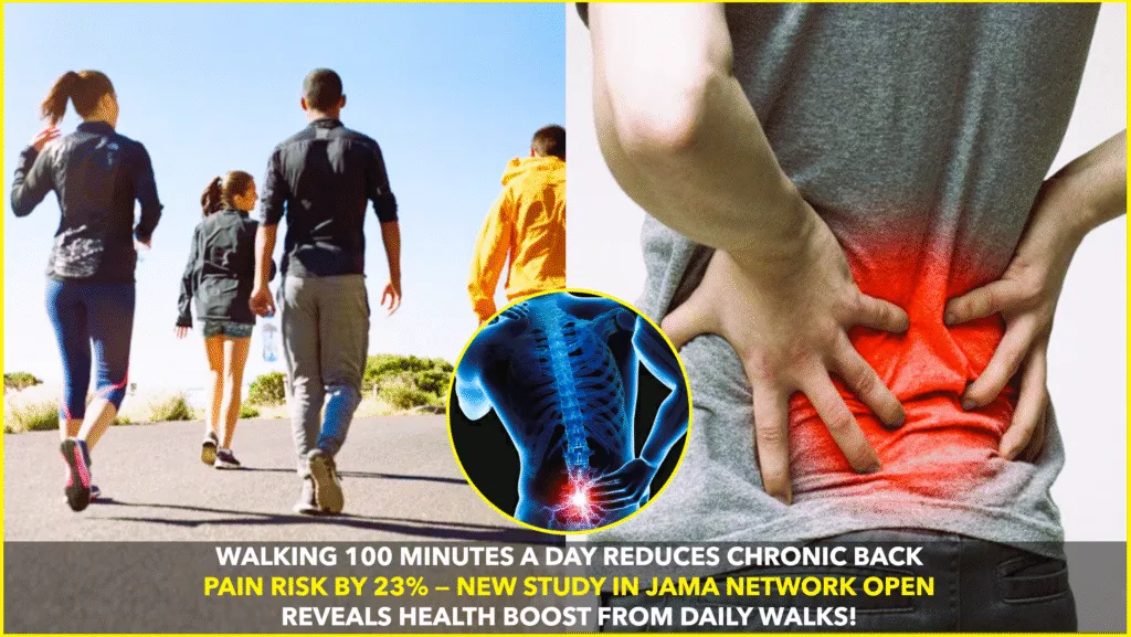 DAILY WALK OF 100 MINUTES MAY REDUCE BACK PAIN RISK BY 23%: NEW STUDY DAILY WALK OF 100 MINUTES MAY REDUCE BACK PAIN RISK BY 23%: NEW STUDY