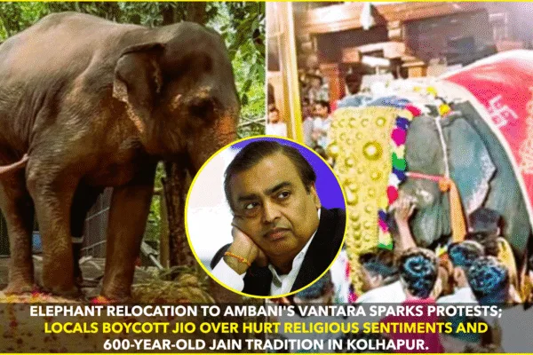 Ambani’s Vantara Faces Heat Over Jain Mutt Elephant Relocation; Jio, Reliance Face Boycott Calls Ambani's Vantara Faces Heat Over Jain Mutt Elephant Relocation; Jio, Reliance Face Boycott Calls