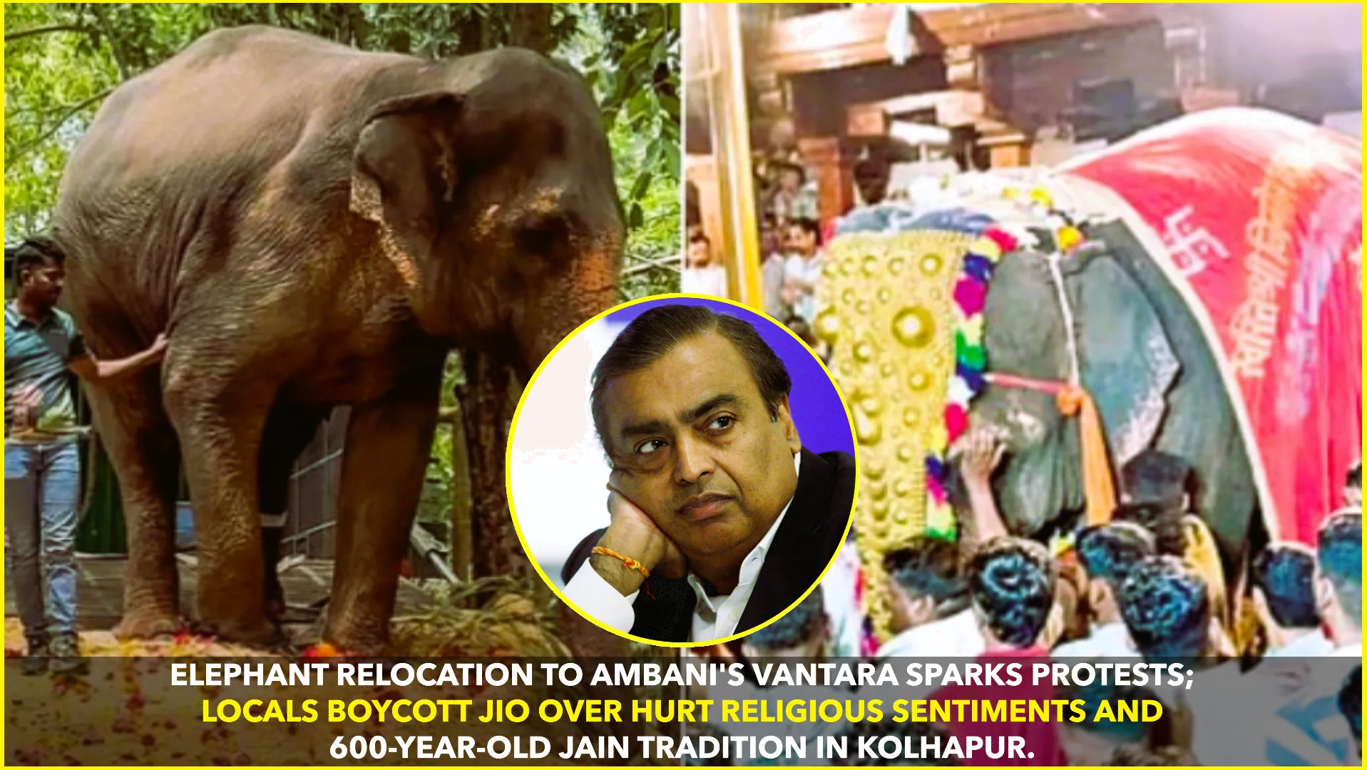 Ambani's Vantara Faces Heat Over Jain Mutt Elephant Relocation; Jio, Reliance Face Boycott Calls