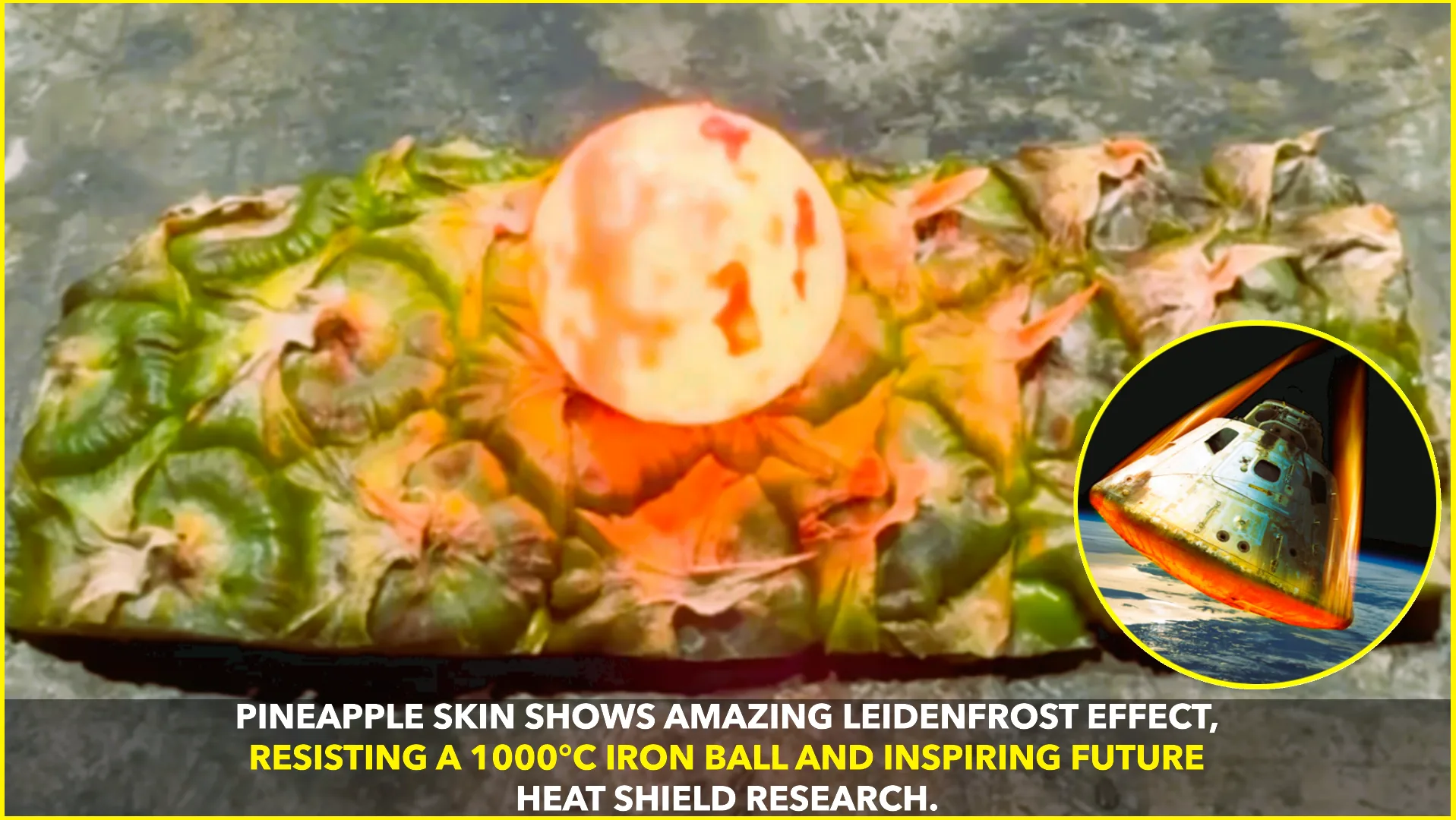 Pineapple Skin Shows Leidenfrost Effect at 1000°C