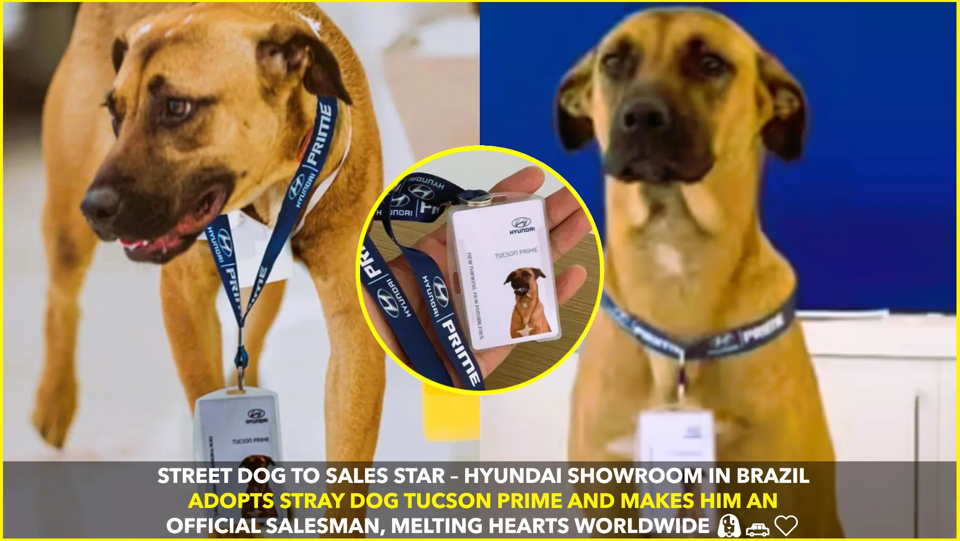 Hyundai’s Street Dog Tucson Prime Becomes Sales Star