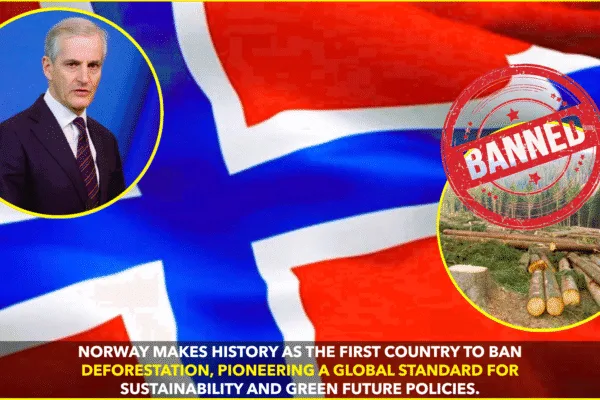 Norway Becomes First Country to Ban Deforestation, Setting Global Sustainability Benchmark Norway Becomes First Country to Ban Deforestation, Setting Global Sustainability Benchmark