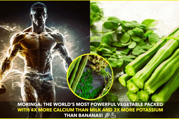 Moringa: The World’s Most Powerful Superfood Revealed Moringa: The World’s Most Powerful Superfood Revealed