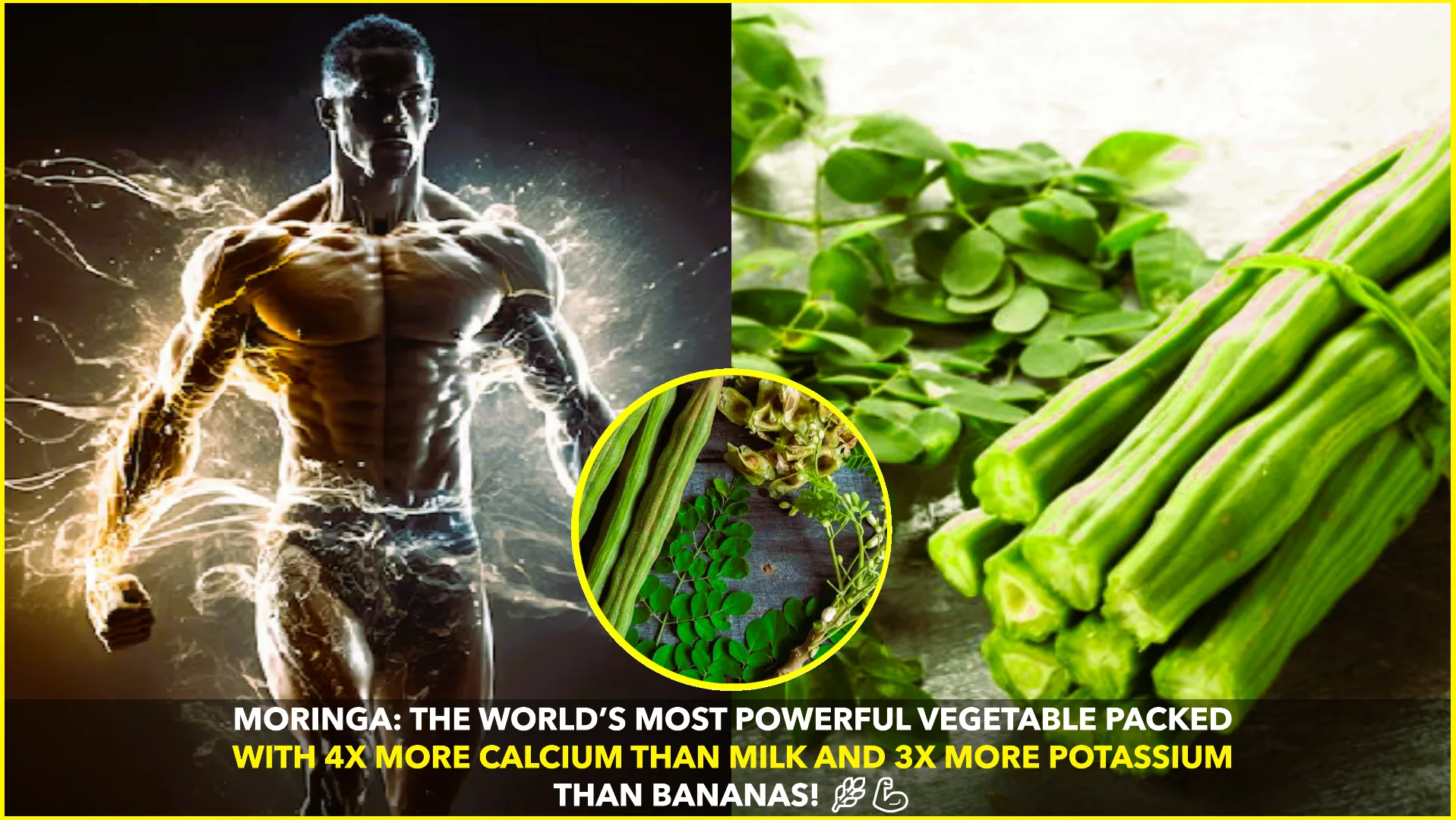 Moringa: The World’s Most Powerful Superfood Revealed